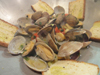 Clam