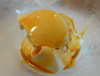 Panna Cotta